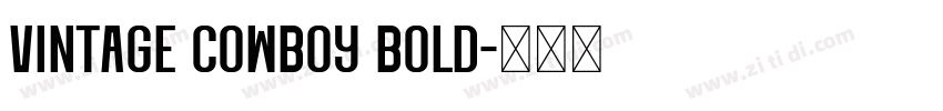 Vintage Cowboy Bold字体转换